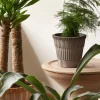 Bergs Potter Atlas Kruka Raw Grey Terracotta Ø18