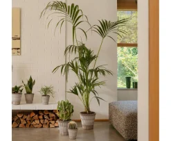 Bergs Potter Atlas Kruka Raw Grey Terracotta Ø25