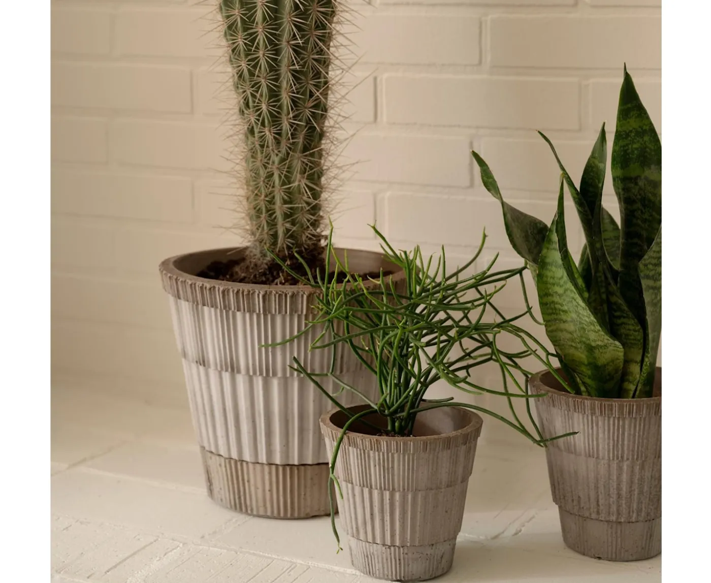 Bergs Potter Atlas Kruka Raw Grey Terracotta Ø16