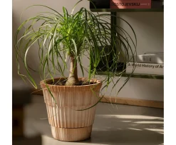 Bergs Potter Atlas Kruka Raw Rosa Terracotta Ø21