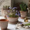 Bergs Potter Atlas Kruka Raw Rosa Terracotta Ø18