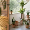 Bergs Potter Atlas Kruka Raw Rosa Terracotta Ø16