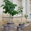 Bergs Potter Cilindro Kruka Raw Grey Terracotta Ø40