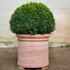 Bergs Potter Cilindro Kruka Raw Rosa Terracotta Ø62