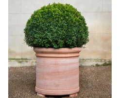 Bergs Potter Cilindro Kruka Raw Rosa Terracotta Ø62