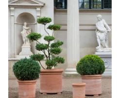 Bergs Potter Cilindro Kruka Raw Rosa Terracotta Ø62