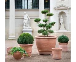 Bergs Potter Cilindro Kruka Raw Rosa Terracotta Ø62