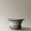 Bergs Potter Daisy Kruka med Fat Raw Grey Terracotta Ø25