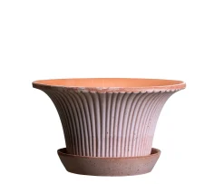 Bergs Potter Daisy Kruka med Fat Raw Rosa Terracotta Ø30