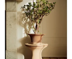 Bergs Potter Daisy Kruka med Fat Raw Rosa Terracotta Ø30
