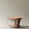 Bergs Potter Daisy Kruka med Fat Raw Rosa Terracotta Ø25
