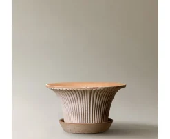 Bergs Potter Daisy Kruka med Fat Raw Rosa Terracotta Ø25
