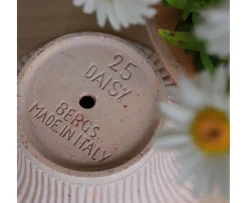 Bergs Potter Daisy Kruka med Fat Raw Rosa Terracotta Ø25