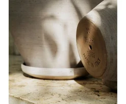 Bergs Potter Delphi Kruka med Fat Raw Grey Ø20