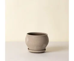 Bergs Potter Delphi Kruka med Fat Raw Grey Low Ø24