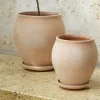 Bergs Potter Delphi Kruka med Fat Raw Rosa Ø20