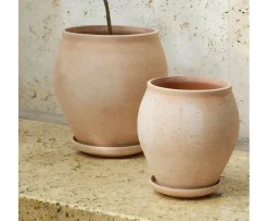 Bergs Potter Delphi Kruka med Fat Raw Rosa Ø20