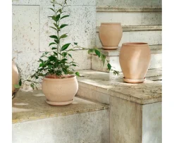 Bergs Potter Delphi Kruka med Fat Raw Rosa Low Ø24