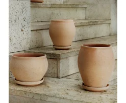 Bergs Potter Delphi Kruka med Fat Raw Rosa Tall Ø22