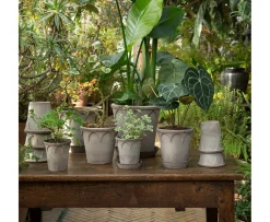 Bergs Potter Elizabeth Kruka med Fat Raw Grey Terracotta Ø18