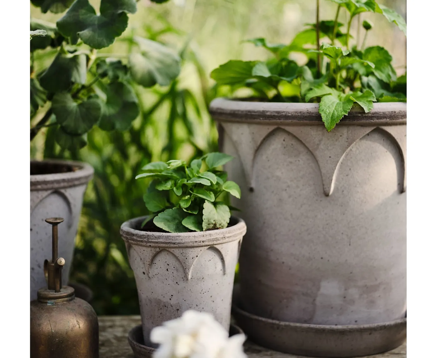 Bergs Potter Elizabeth Kruka med Fat Raw Grey Terracotta Ø21