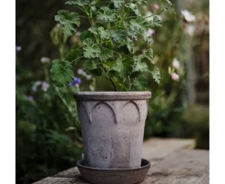 Bergs Potter Elizabeth Kruka med Fat Raw Grey Terracotta Ø21