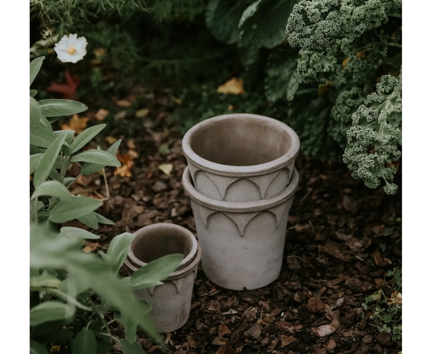 Bergs Potter Elizabeth Kruka med Fat Raw Grey Terracotta Ø21