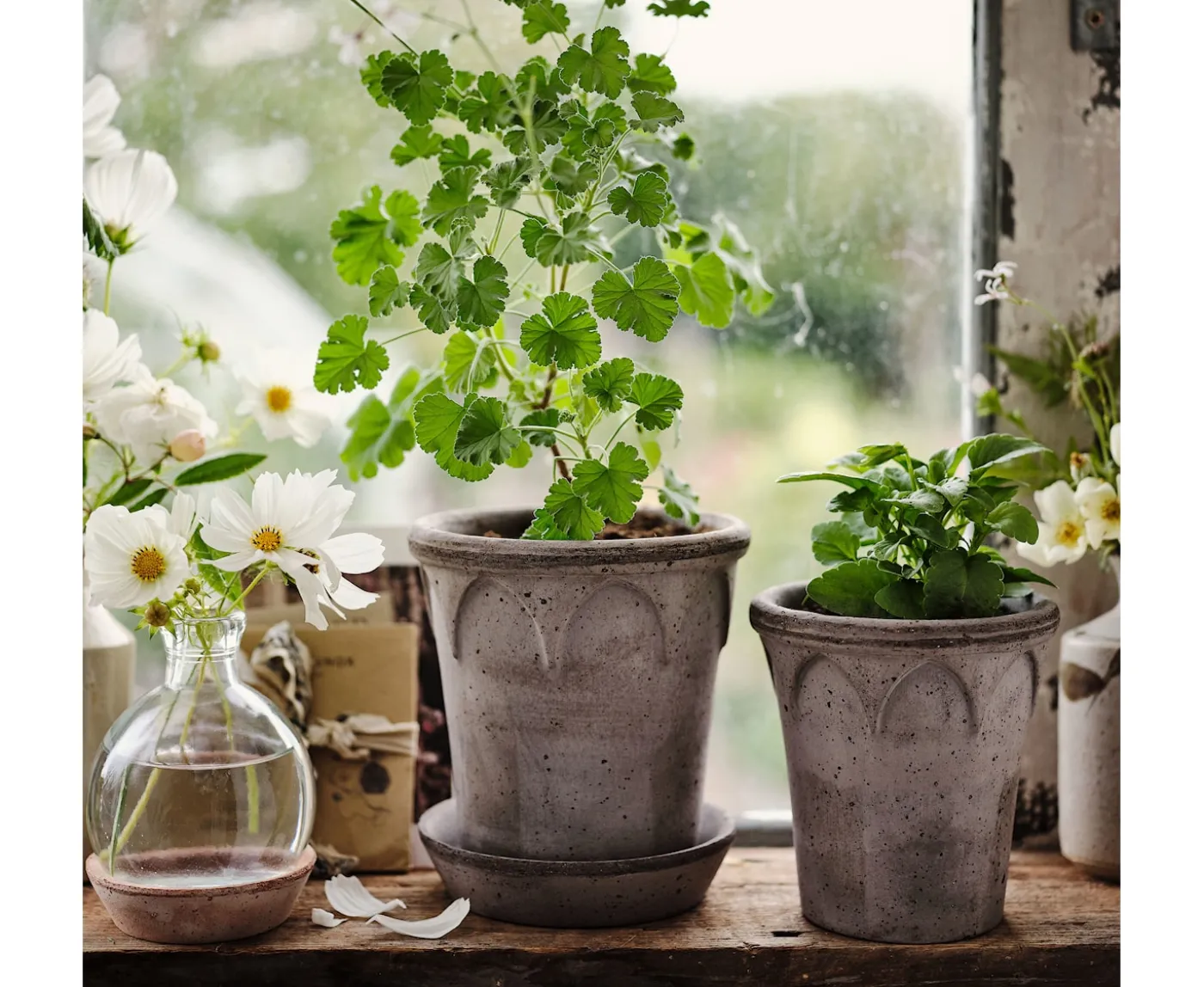 Bergs Potter Elizabeth Kruka med Fat Raw Grey Terracotta Ø21