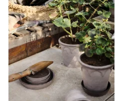 Bergs Potter Elizabeth Kruka med Fat Raw Grey Terracotta Ø21
