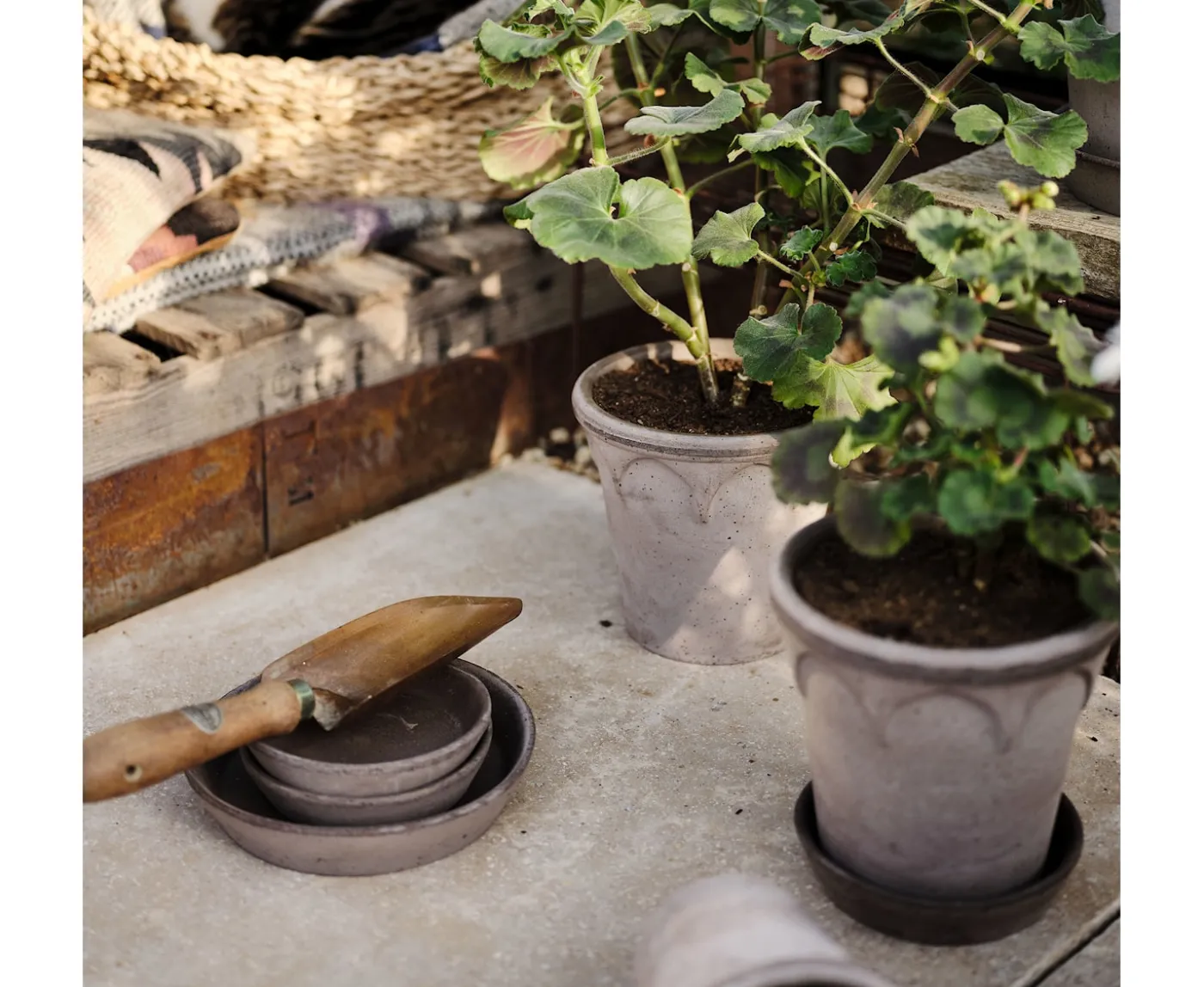 Bergs Potter Elizabeth Kruka med Fat Raw Grey Terracotta Ø21