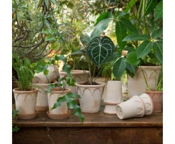 Bergs Potter Elizabeth Kruka med Fat Raw Rosa Terracotta Ø25