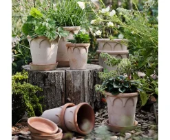 Bergs Potter Elizabeth Kruka med Fat Raw Rosa Terracotta Ø21