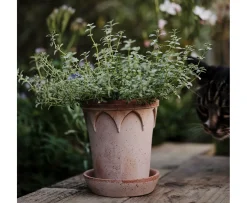 Bergs Potter Elizabeth Kruka med Fat Raw Rosa Terracotta Ø18
