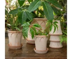 Bergs Potter Elizabeth Kruka med Fat Raw Rosa Terracotta Ø18