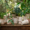 Bergs Potter Elizabeth Kruka med Fat Raw Rosa Terracotta Ø16