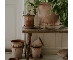 Bergs Potter Elizabeth Kruka med Fat Raw Rosa Terracotta Ø16