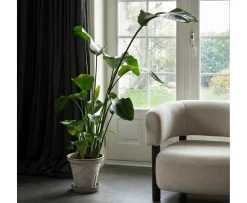 Bergs Potter Fleur Kruka med Fat Raw Grey Ø25