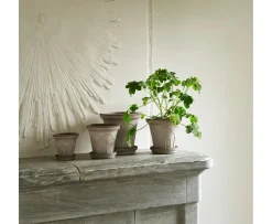 Bergs Potter Fleur Kruka med Fat Raw Grey Ø16