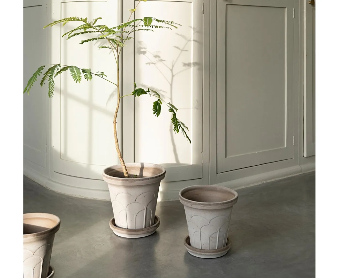 Bergs Potter Fleur Kruka med Fat Raw Grey Ø16