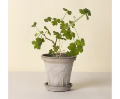 Bergs Potter Fleur Kruka med Fat Raw Grey Ø16