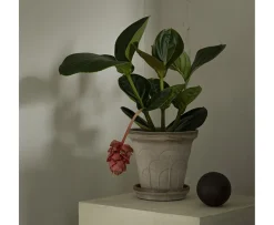 Bergs Potter Fleur Kruka med Fat Raw Grey Ø18