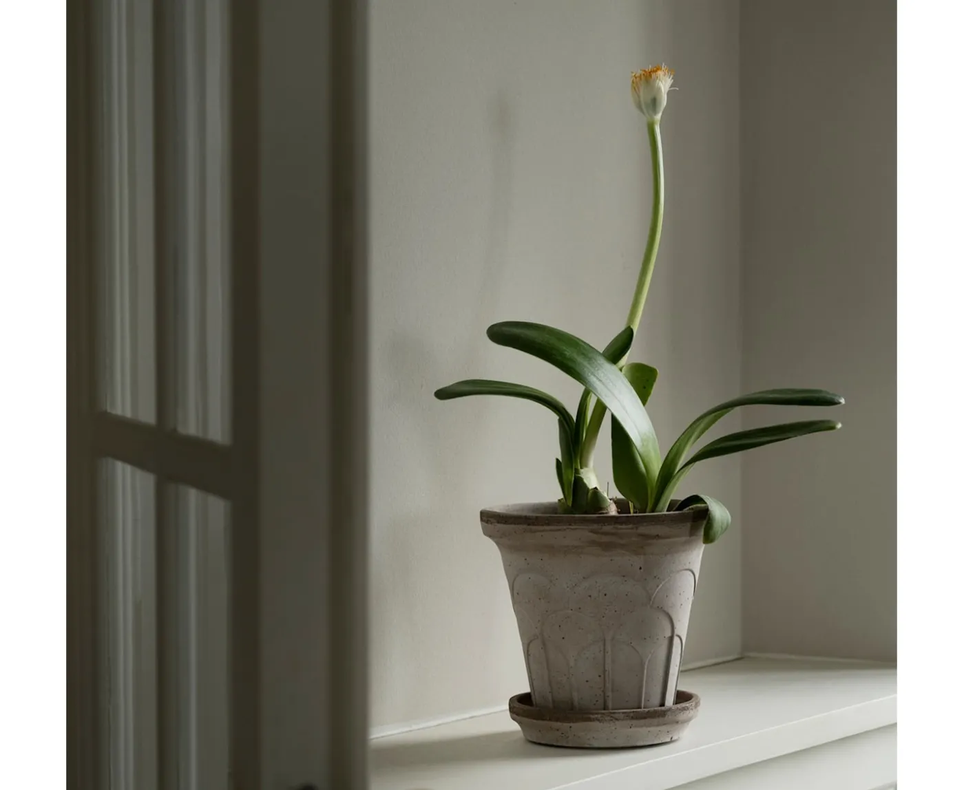 Bergs Potter Fleur Kruka med Fat Raw Grey Ø18