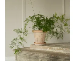 Bergs Potter Fleur Kruka med Fat Raw Rosa Ø25