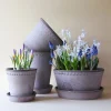 Bergs Potter Helena Kruka med Fat Raw Grey Terracotta Ø25