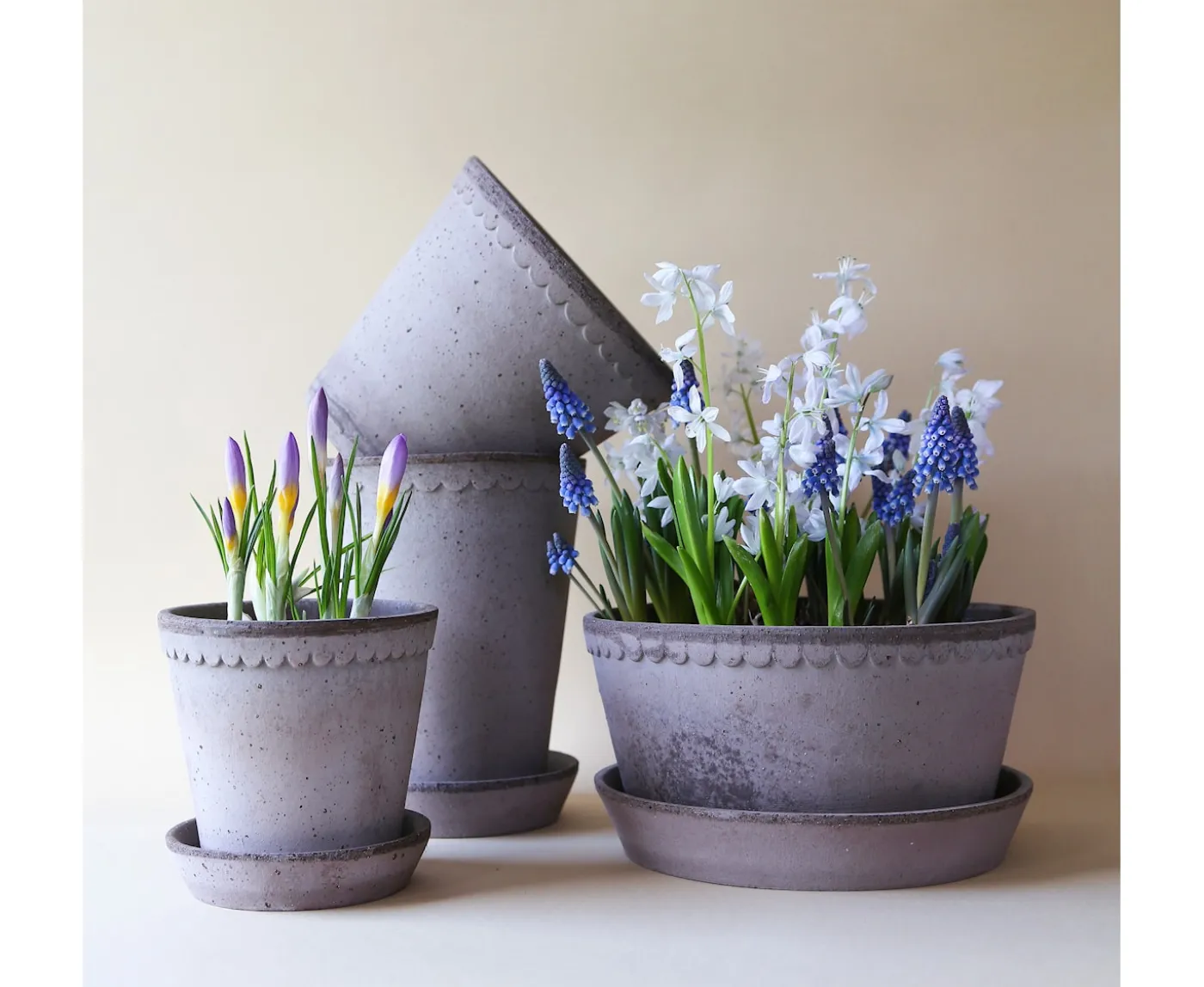 Bergs Potter Helena Kruka med Fat Raw Grey Terracotta Ø25