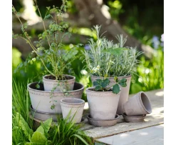 Bergs Potter Helena Kruka med Fat Raw Grey Terracotta Ø25