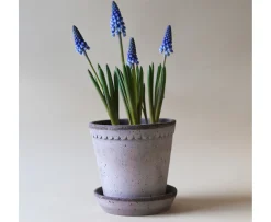 Bergs Potter Helena Kruka med Fat Raw Grey Terracotta Ø30