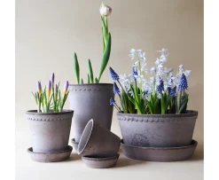 Bergs Potter Helena Kruka med Fat Raw Grey Terracotta Ø21