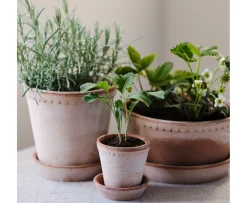 Bergs Potter Helena Kruka med Fat Raw Rosa Terracotta Ø30