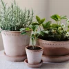 Bergs Potter Helena Kruka med Fat Raw Rosa Terracotta Ø18